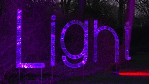 Ein Neonfarbener Schriftzug im Rhododendronpark. Die Lichter ergeben den Schriftzug "Light".