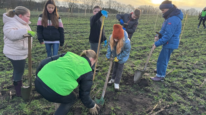 Sechs Kinder mit Schaufeln in den Händen pflanzen einen Baum.