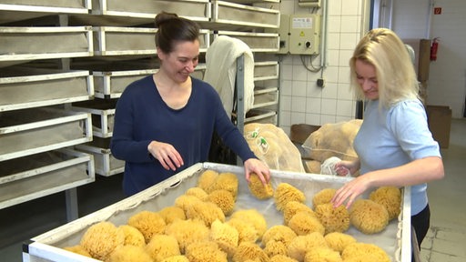 Zwei Frauen stehen in einer Fabrik vor einer Wanne voll mit Schwämmen.