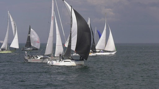 Mehrere Segelboote mit gesetzten Segeln während einer Hochseeregatta.