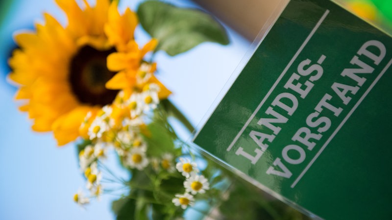 Eine Sonnenblume steckt in einer Blumenvase hinter einem Schild