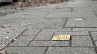 Der Stolperstein von Hermann Behr auf einem Gehweg in Bremen