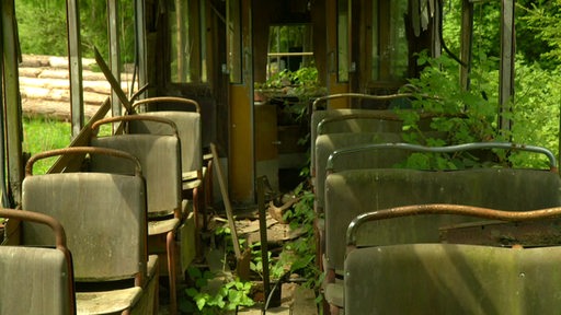 Eine verlassene Straßenbahn im Wald