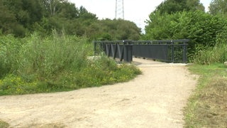 Ein sandiger Weg führt auf eine Brücke zu, daneben Gräser und Büsche.