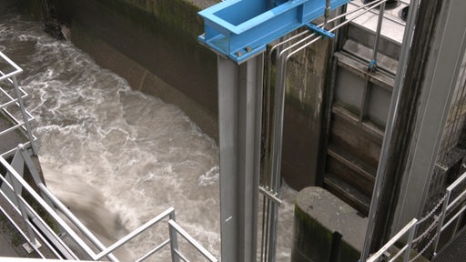 Ein Becken der Hansewasser, befüllt mit Abwasser.