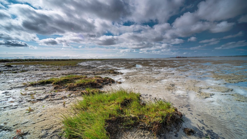 Wattenmeer bei Ebbe am Naturstrand Hilgenriedersiel in Niedersachsen