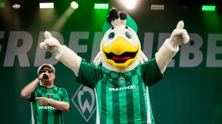 Werder-Maskottchen "Toni", eine Möwe, heizt den Werder-Fans von der Bühne aus beim "Tach der Fans" ein.