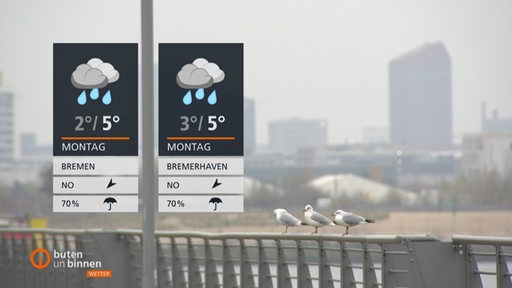 Drei Möwen sitzen neben den Wettertafeln auf einer Brücke