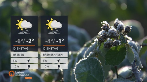 Links sind die Wetterkacheln und rechts daneben sind vereiste Beeren und Blätter zu sehen.