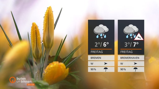 Die Wettertafeln für Freitag vor einer gelben Blüte. 