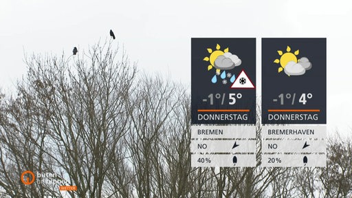 Die Wetterkacheln vor einem grauen Himmel und tristen Baumkronen.