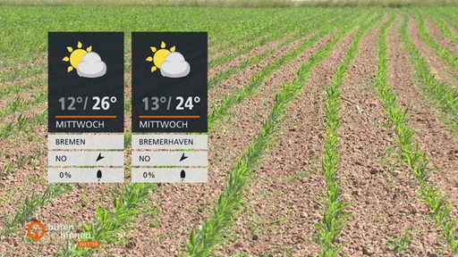 Links sind die Wetterkacheln und im Hintergrund ist ein Feld mit grünen Pflanzen zu sehen.