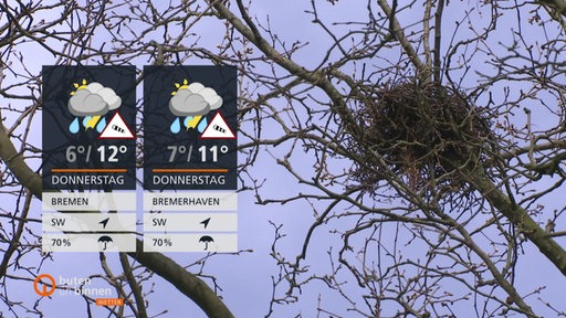 Die Wettertafeln vor einem Baum mit vielen Ästen und einem Vogelnest. 