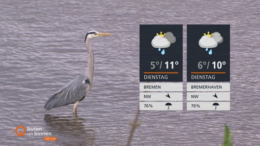 Rechts sind die Wetterkacheln und links daneben ist ein Graureiher in einem Gewässer zu sehen.