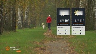 Wettertafeln vor einer Frau mit ihrem Hund auf einem mit Laub bedeckten Pfad