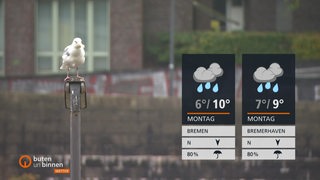 Die Wetterkacheln mit einer Möwe daneben