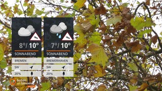 Die Wettertafeln vor einem Baum mit Herbstlaub