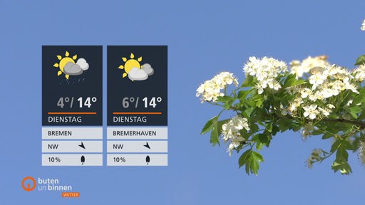 Die Wetterkacheln vor blauem Himmel und einem blühenden Ast, der ins Bild ragt.