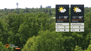 Die Wetterkacheln rechts im Bild und im Hintergrund sehen wir viele Bäume.