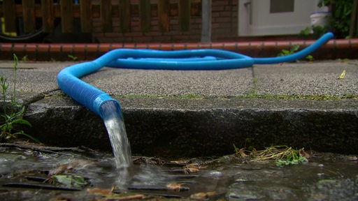 Ein blauer Schlauch, aus dem Wasser läuft.