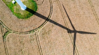 Der Schatten einer Windkraftanlage ist auf einem Weizenfeld in einem Windpark zu sehen.